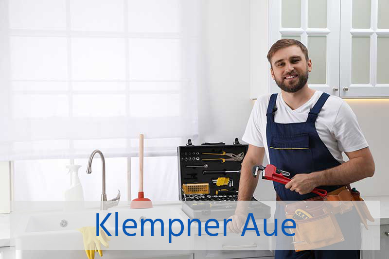 Klempner Aue