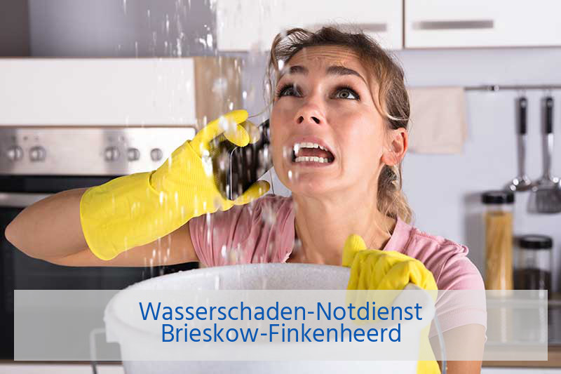 Rohrreinigung Notdienst Brieskow-Finkenheerd